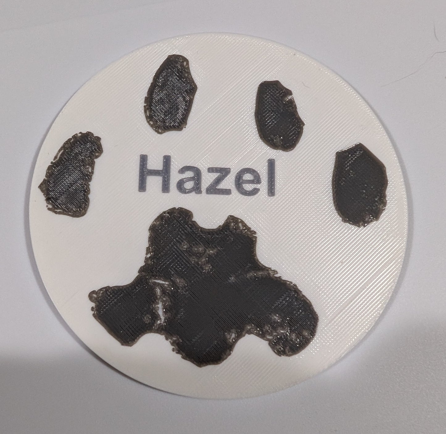 Customized 3D Paw Prints