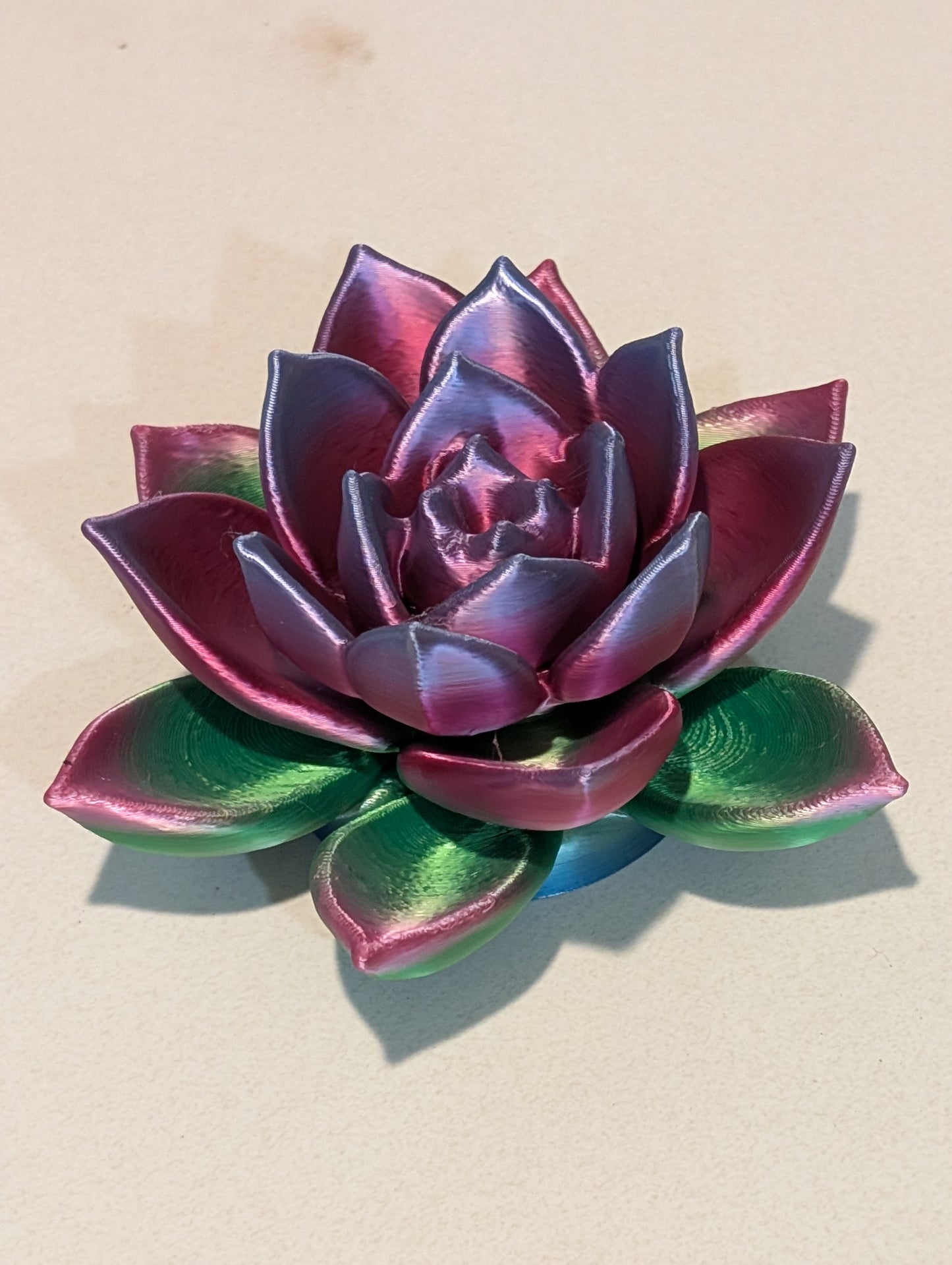 Lotus