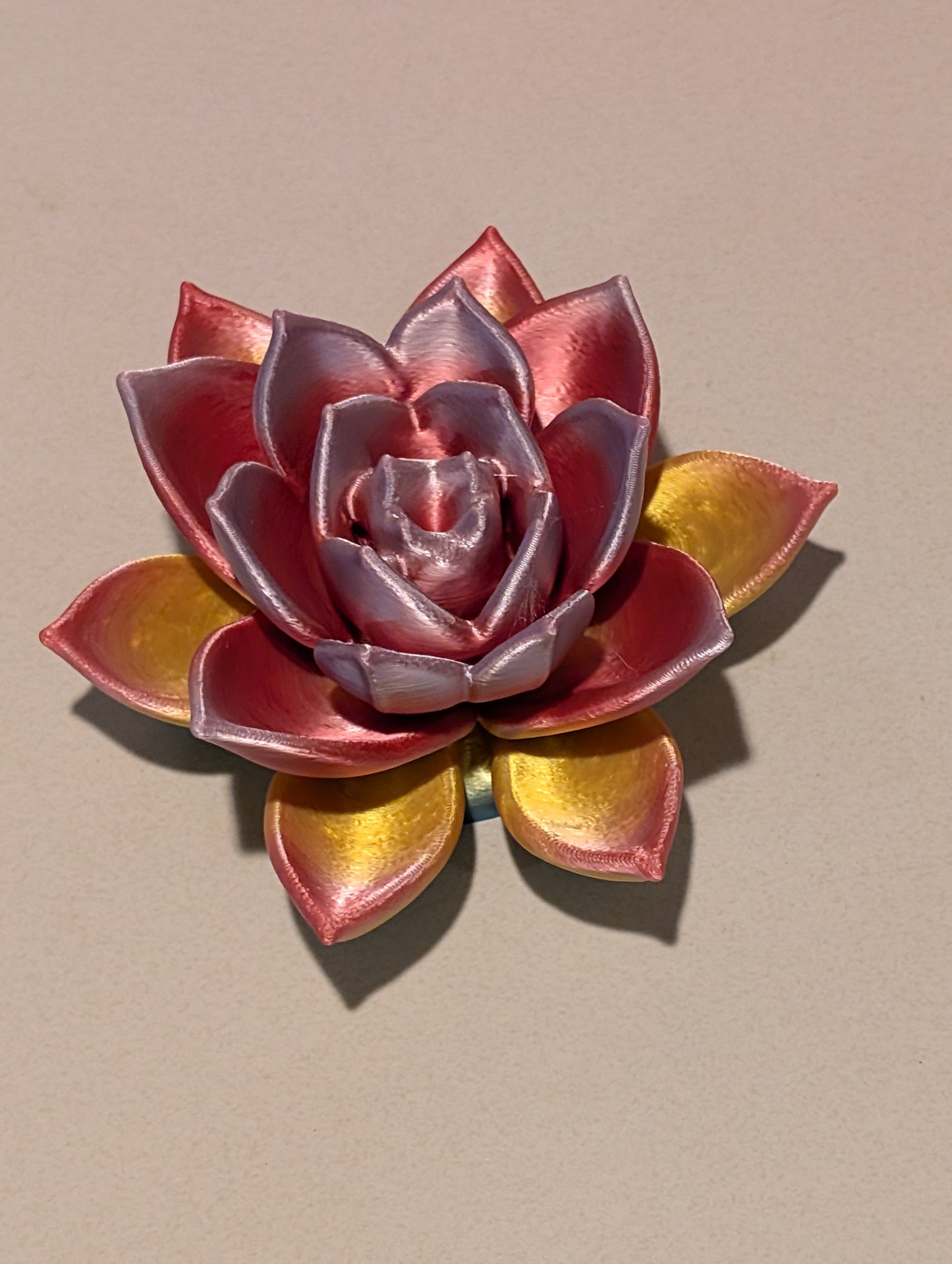 Lotus