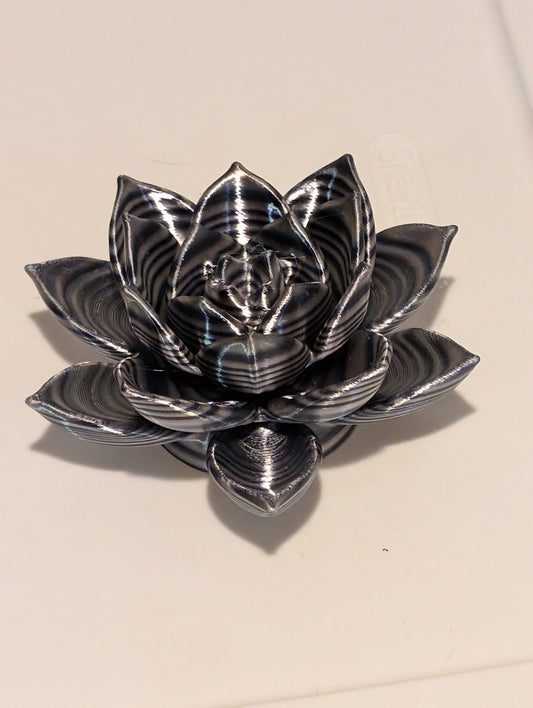 Lotus