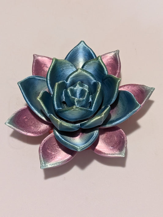 Lotus Mini
